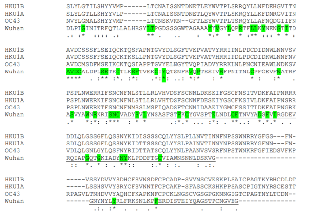 常见的冠状病毒HKU1A，HKU1B，OC43和2019-nCoV的S蛋白比对（局部图），绿色代表相同的氨基酸，下横线代表新冠病毒的受体结合域（RBD）
